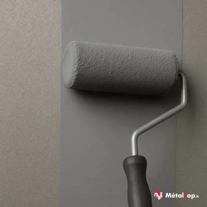 PRIMAIRE PHOSPHATANT