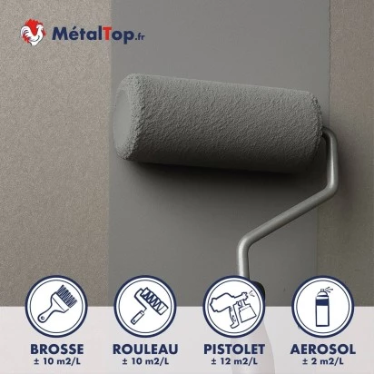 PRIMAIRE PHOSPHATANT