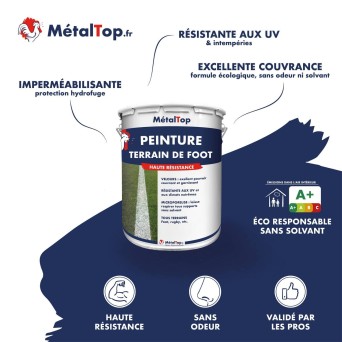 PEINTURE TERRAIN FOOT
