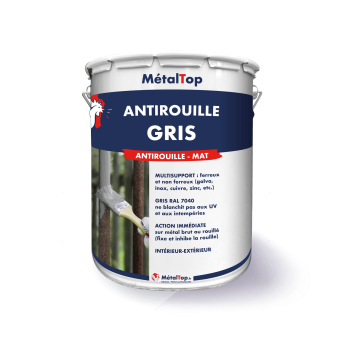 ANTIROUILLE GRIS
