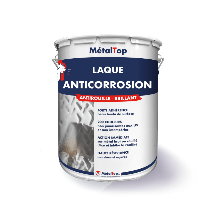 LAQUE ANTICORROSION