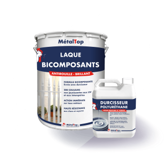 LAQUE BI COMPOSANTS