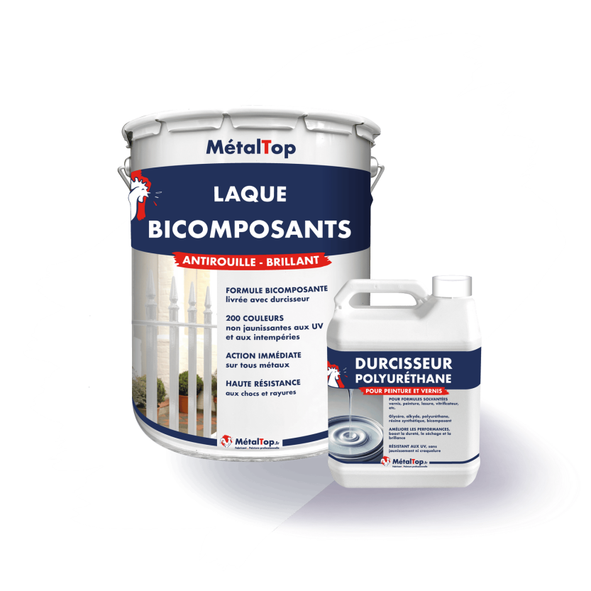 LAQUE BI COMPOSANTS