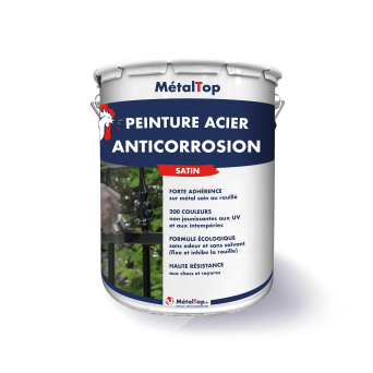 PEINTURE ACIER ANTICO
