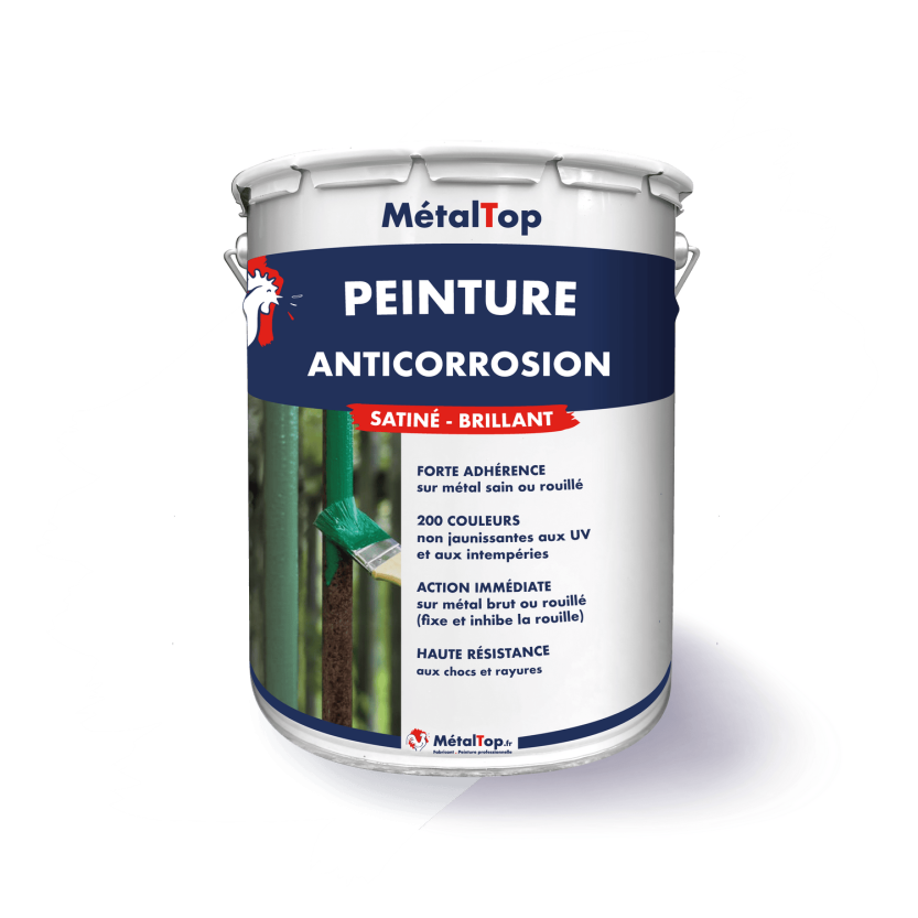 PEINTURE ANTICORROSION