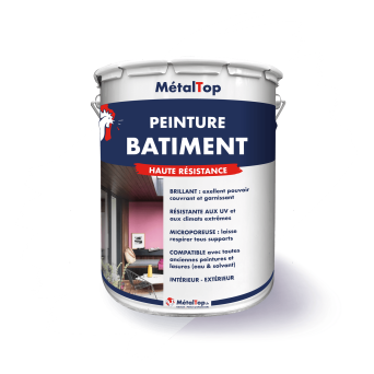 PEINTURE BATIMENT