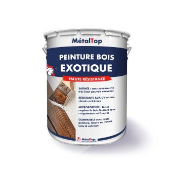 PEINTURE BOIS EXOTIQUE