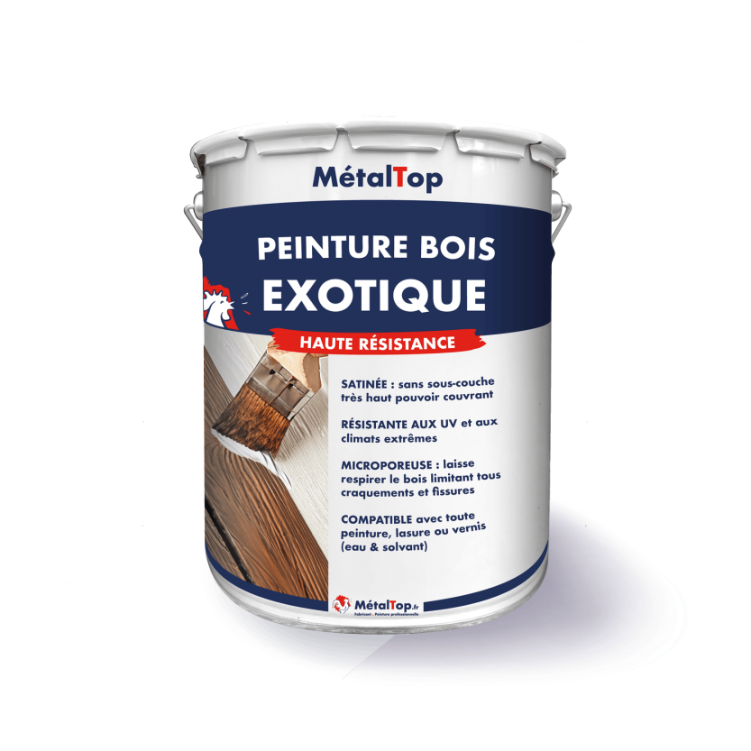 PEINTURE BOIS EXOTIQUE