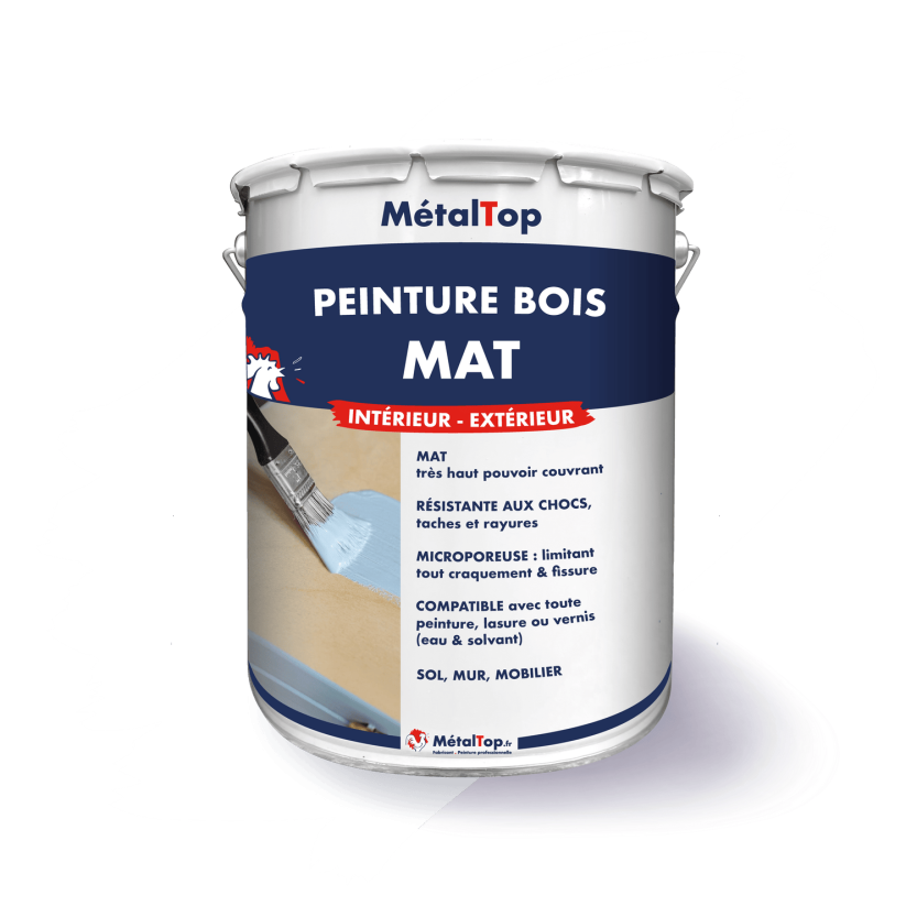 PEINTURE BOIS MAT