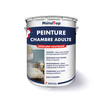 PEINTURE CHAMBRE ADULTE