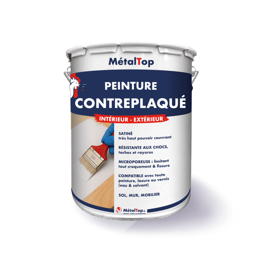 PEINTURE CONTREPLAQUE