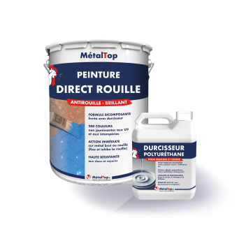 PEINTURE DIRECT ROUILLE
