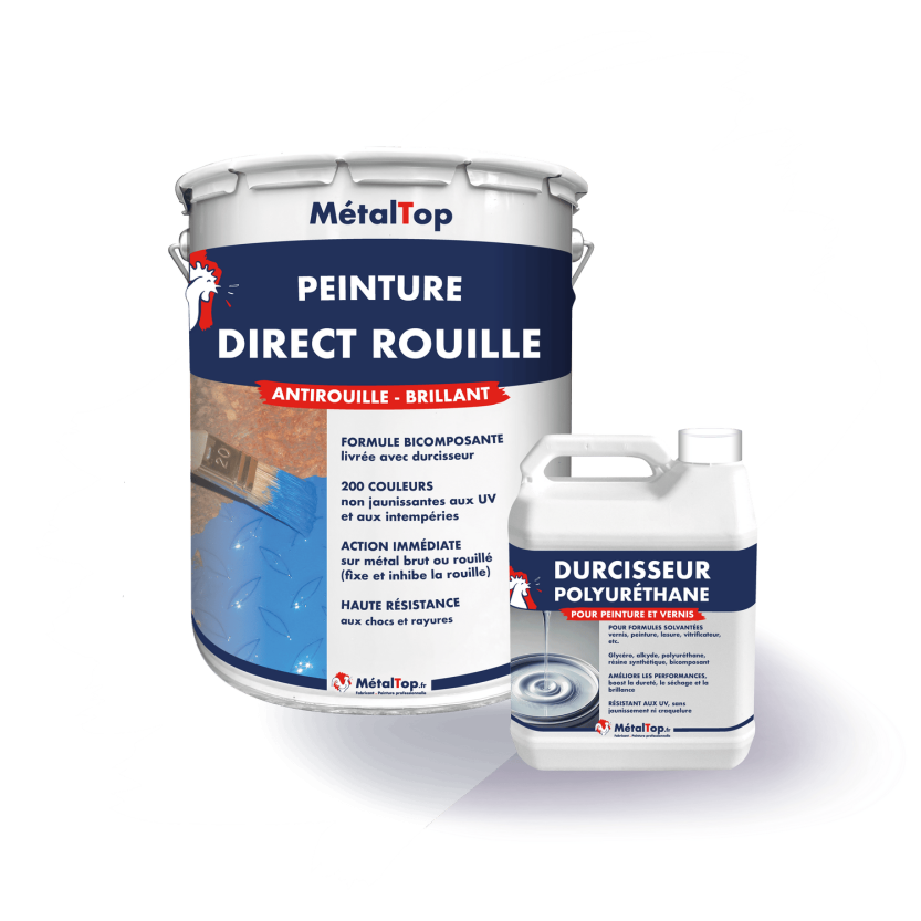 PEINTURE DIRECT ROUILLE