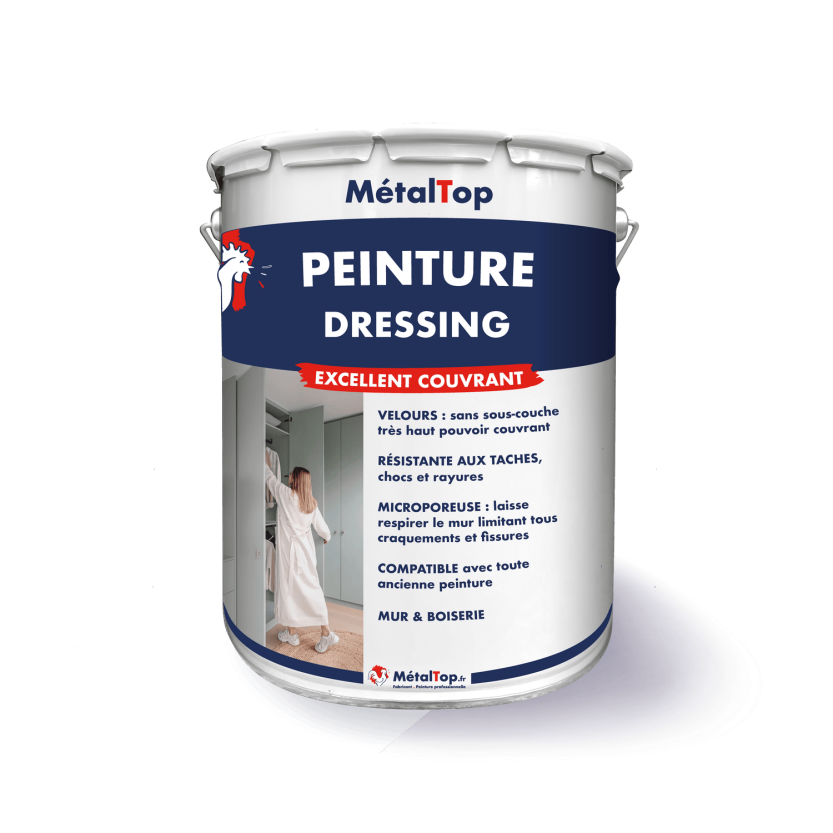 PEINTURE DRESSING