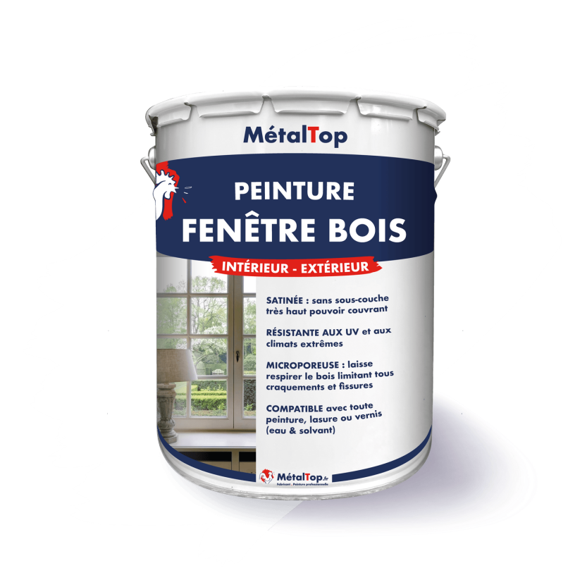 PEINTURE FENETRE BOIS