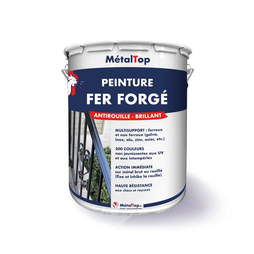 PEINTURE FER FORGE