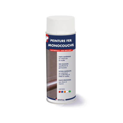 PEINTURE FER MONOCOUCHE