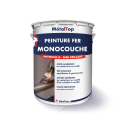 PEINTURE FER MONOCOUCHE