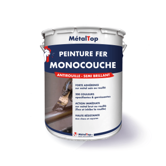 PEINTURE FER MONOCOUCHE