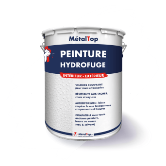 PEINTURE HYDROFUGE
