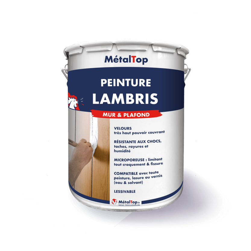 PEINTURE LAMBRIS