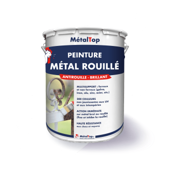 PEINTURE METAL ROUILLE