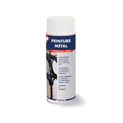PEINTURE METAL