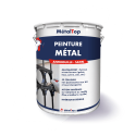 PEINTURE METAL