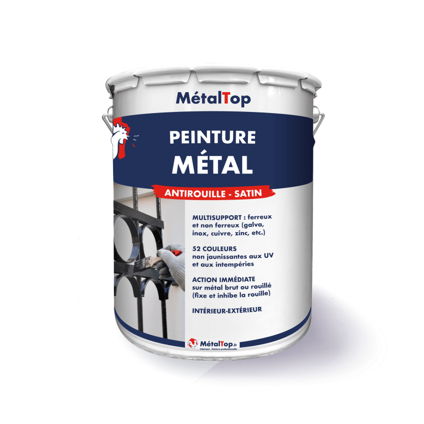 PEINTURE METAL