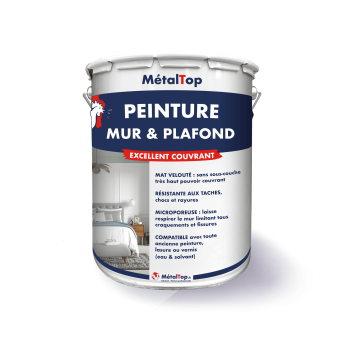 PEINTURE MUR ET PLAFOND
