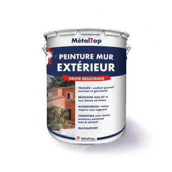 PEINTURE MUR EXTERIEUR