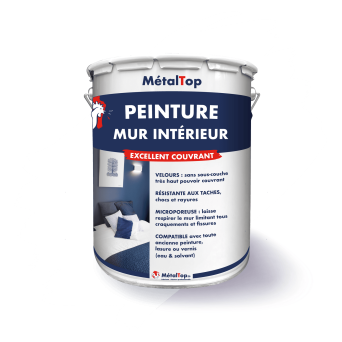 PEINTURE MUR INTERIEUR