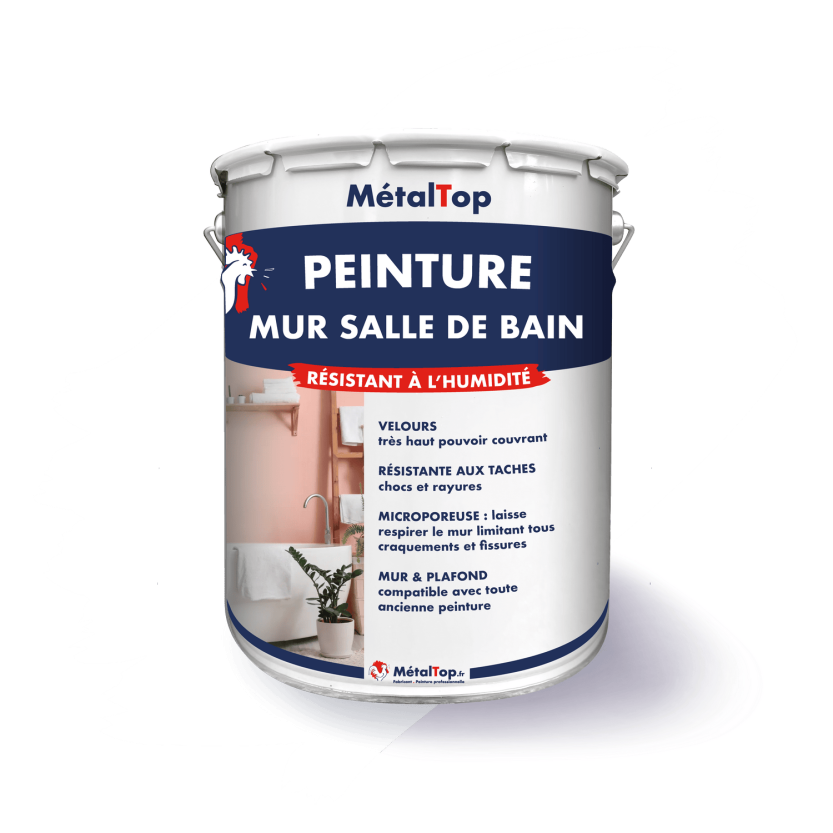 PEINTURE MUR SALLE DE BAIN
