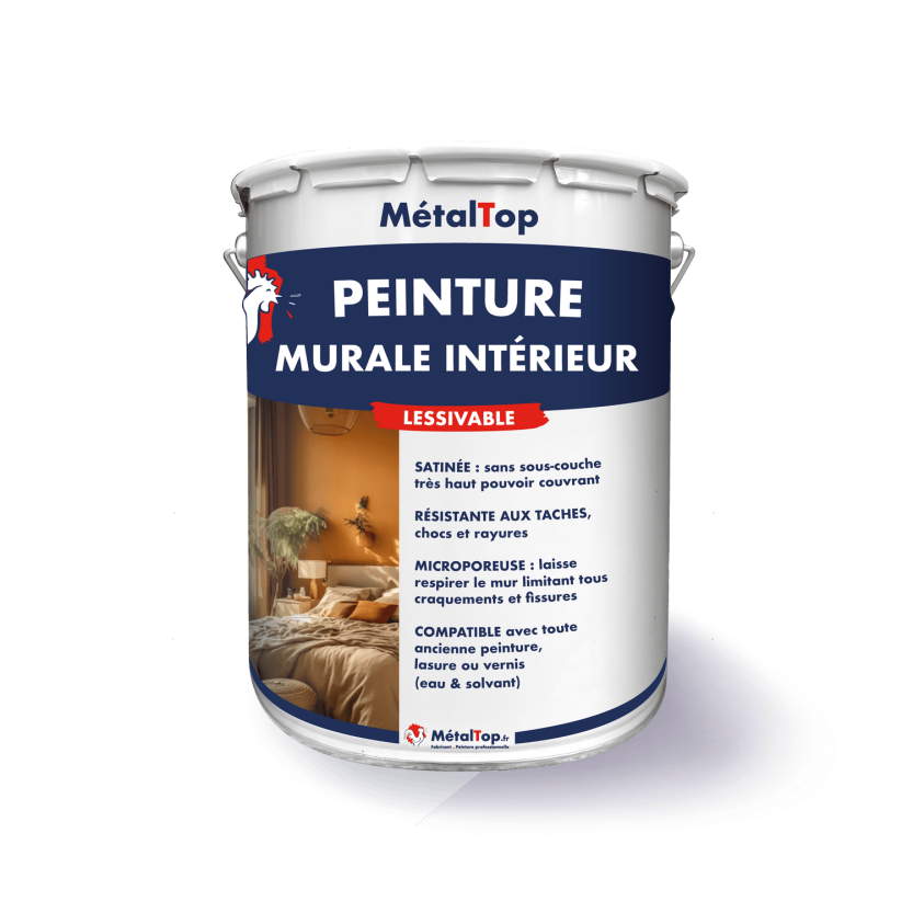 PEINTURE MURALE INTERIEUR