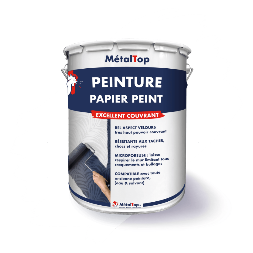 PEINTURE PAPIER PEINT