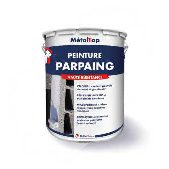 PEINTURE PARPAING