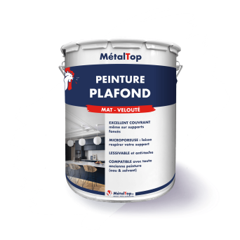 PEINTURE PLAFOND