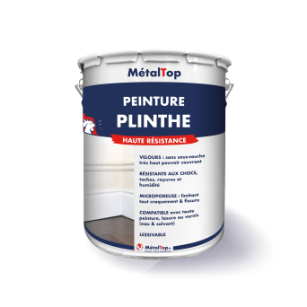 PEINTURE PLINTHE