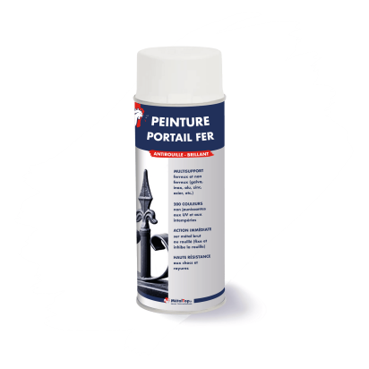 PEINTURE PORTAIL FER