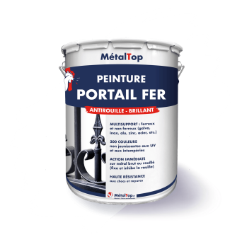 PEINTURE PORTAIL FER