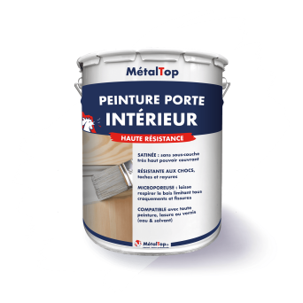 PEINTURE PORTE INTERIEUR