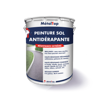 PEINTURE ANTIDERAPANTE