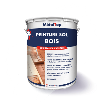 PEINTURE SOL BOIS