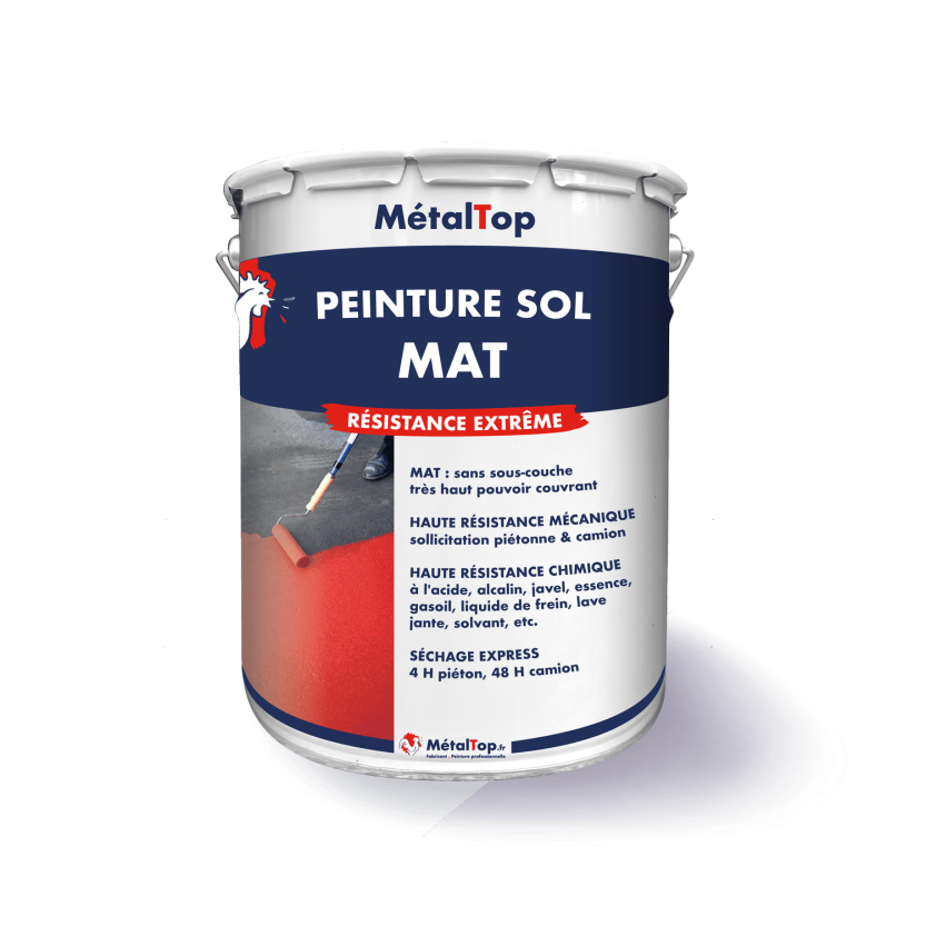 PEINTURE SOL MAT
