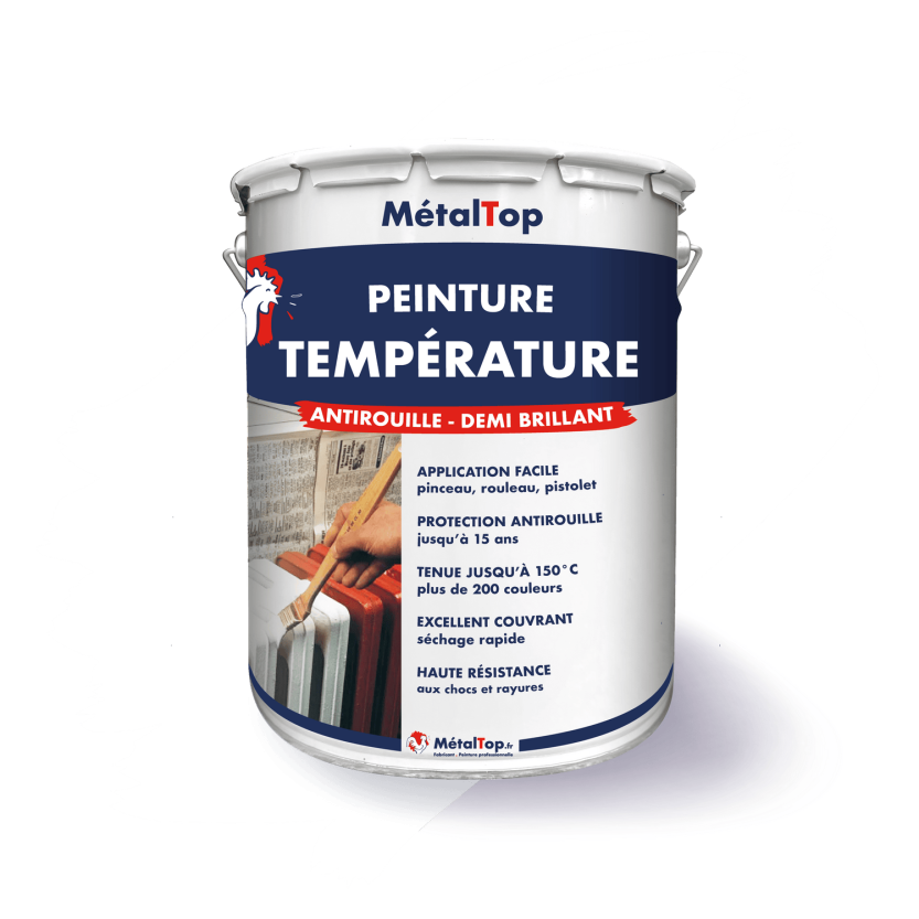 PEINTURE TEMPERATURE