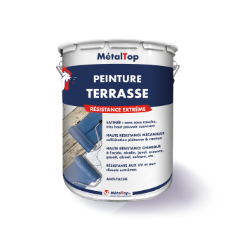 PEINTURE TERRASSE