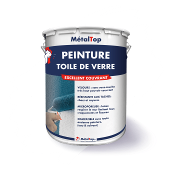 PEINTURE TOILE DE VERRE