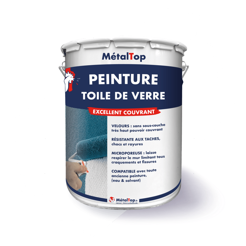 PEINTURE TOILE DE VERRE