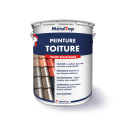 PEINTURE TOITURE
