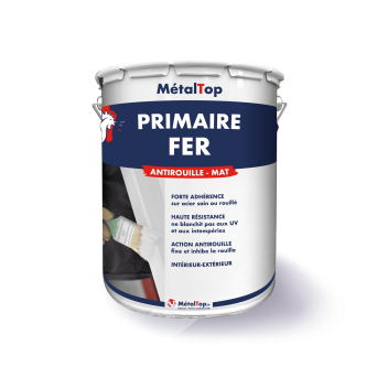 PRIMAIRE FER